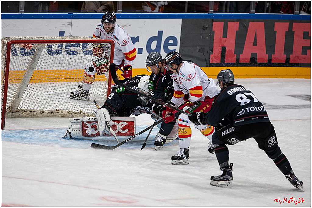 Koelner Haie - Duesseldorfer EG, 18.12.2016